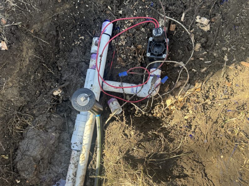 Sprinkler Head Replacement